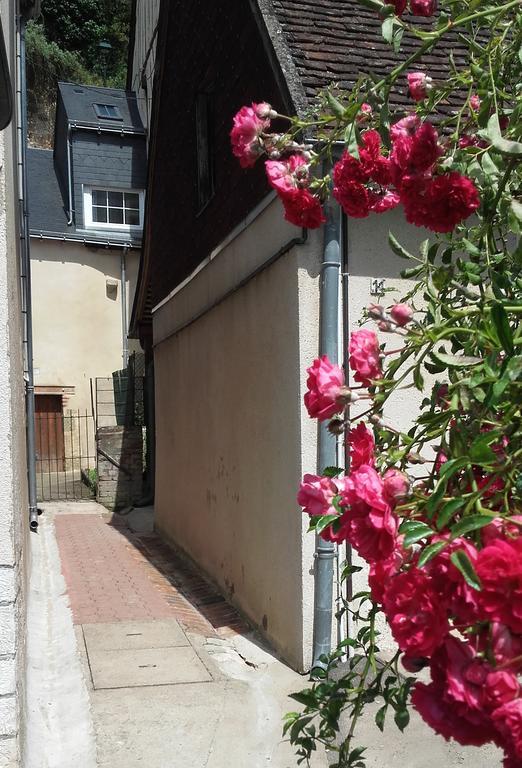La Petite Lucette Villa Amboise Esterno foto