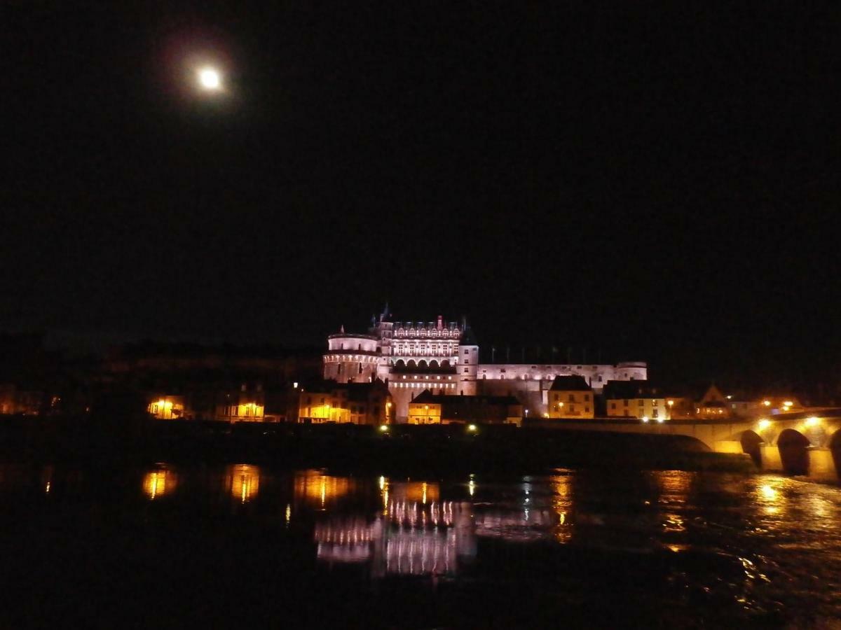 La Petite Lucette Villa Amboise Esterno foto